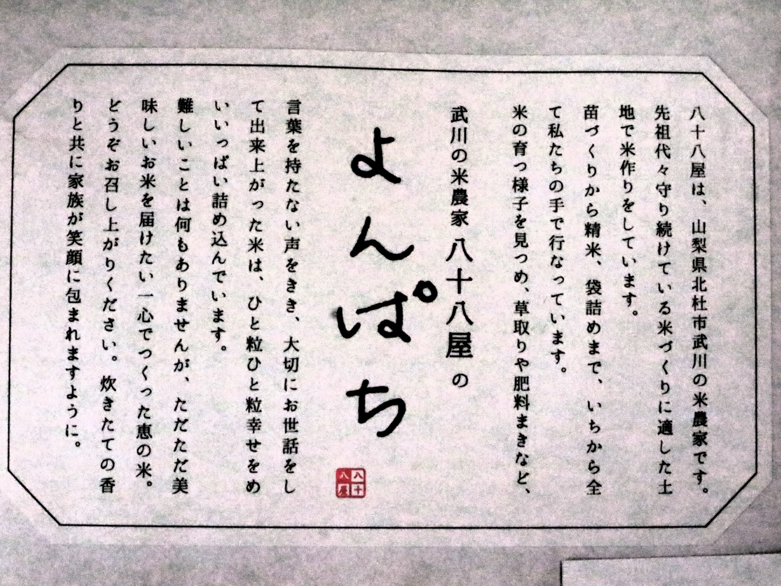 農林48号