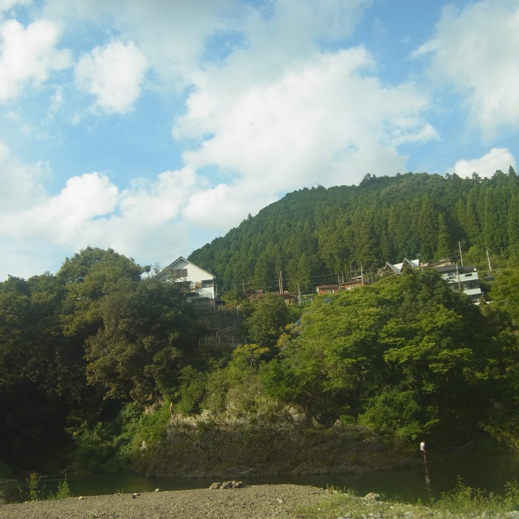 植林の様子