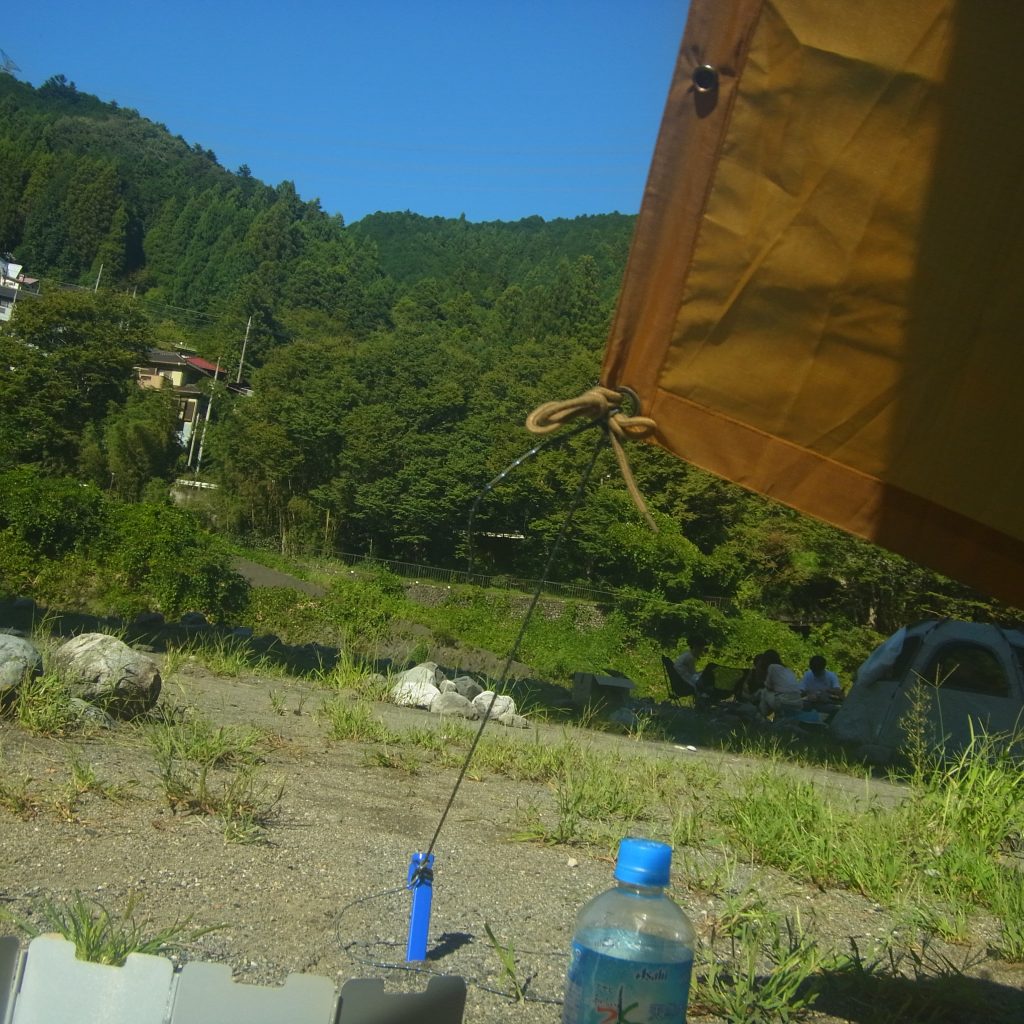 寝転んで眺める