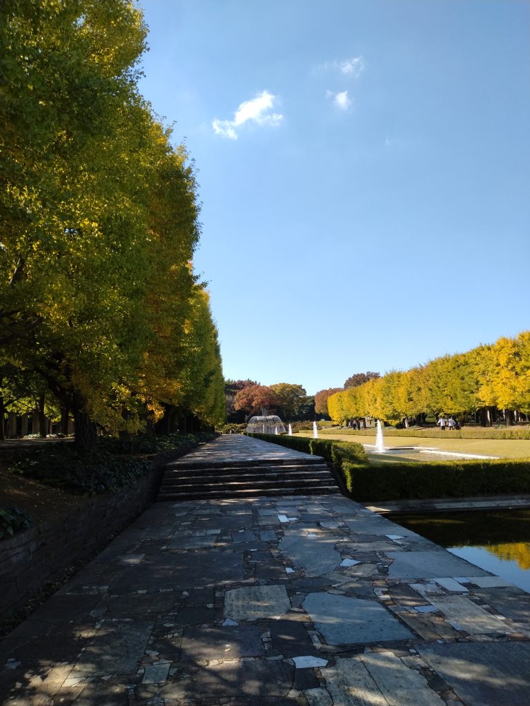 入ってすぐの噴水への道