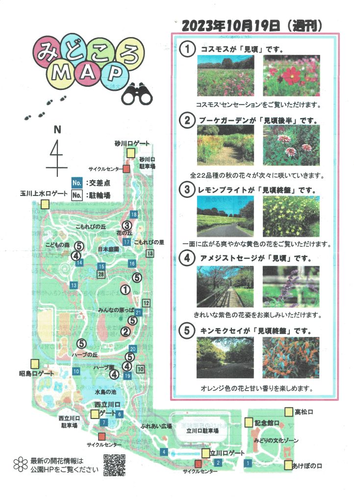 表