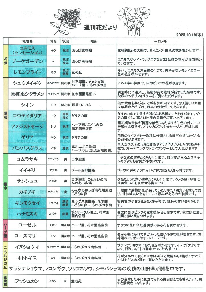 裏