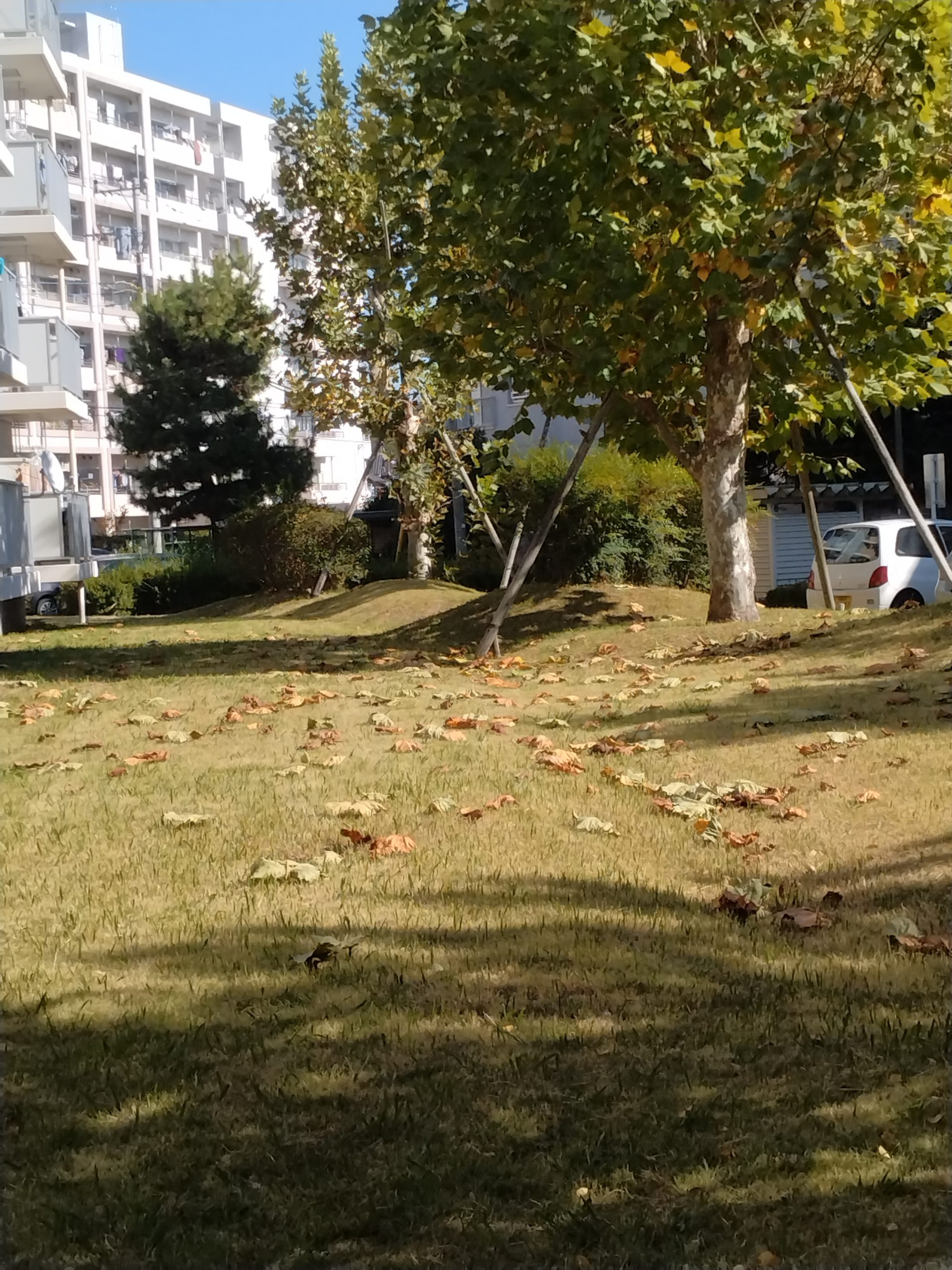 眼の前の貯水公園