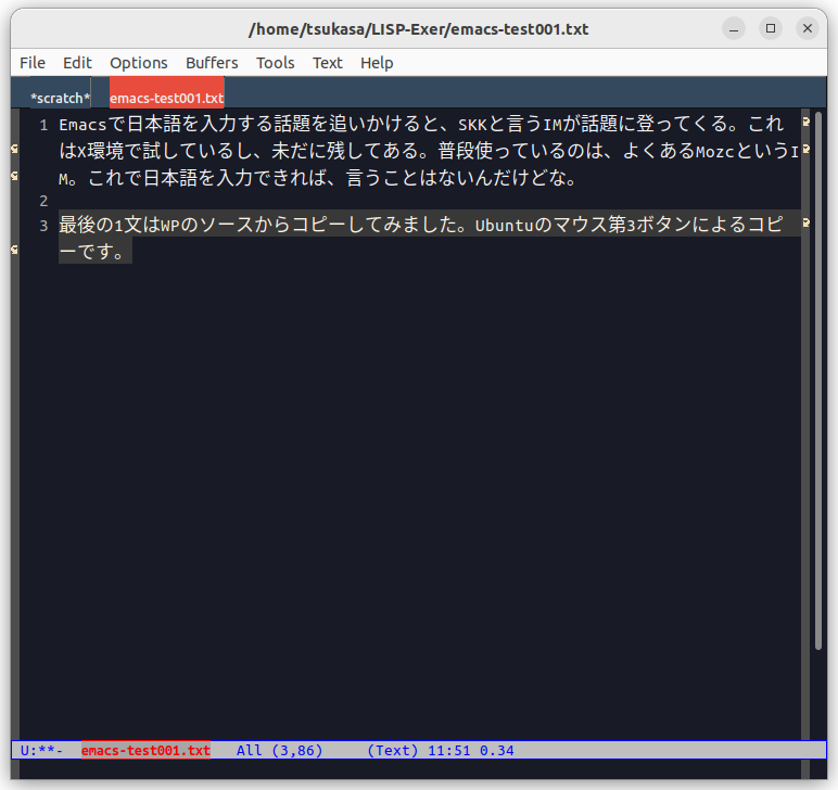 新しいファイルへ日本語を入力
