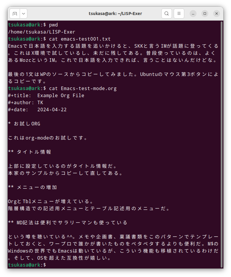 Emacs保存結果